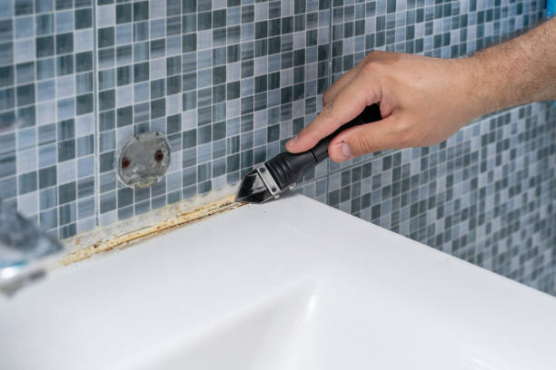 Home Mold Removal in Bensenville, IL